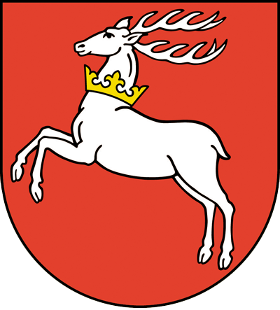 ZDW Lublin Logo